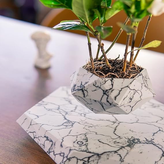 Levitating - Magnetic Floating Plant Pot edenlify