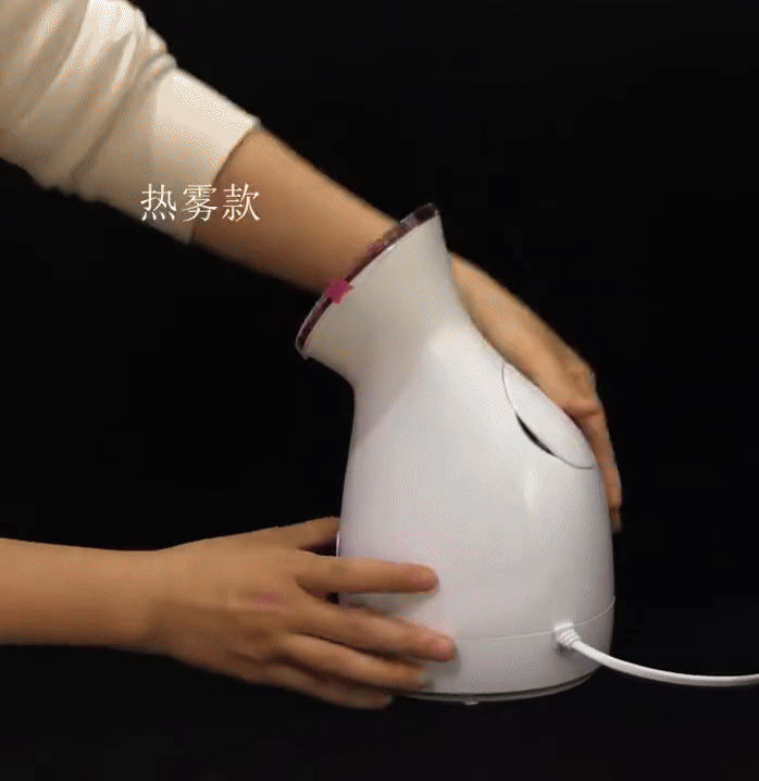 Nano Ionic Facial Steamer